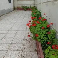 ویلا 200متری بر آسفالت تاپ لوکیشن جوریاب|فروش خانه و ویلا|کوچصفهان, |دیوار