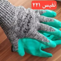 پخش وستکش نفیس