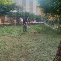 بریدن انواع درختان ونخل هرسکاری اره بالابر چمن زدن|خدمات باغبانی و درختکاری|اهواز, پادادشهر|دیوار