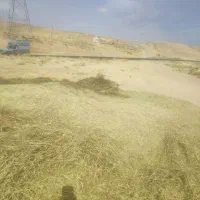 یونجه سراول پرس شده (هوله شده) یکم گیاه داره