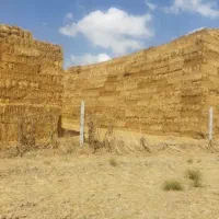 کاه گندم درجه یک پرس بزرگ ۳۵۰ کیلویی با کیفیت