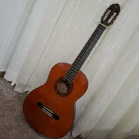 گیتار والنسیا CG160