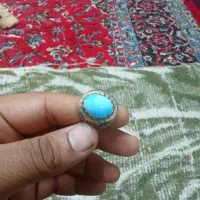 فیروزه پاک عجمی