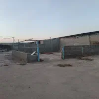 زمین باغی دور دیوار گلمکان سند شش دانگ متداژ 3200|فروش خانه و ویلا|گلمکان, |دیوار