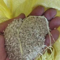 سرلاشه طارم درجه یک بون تخم علف تمیز|خوردنی و آشامیدنی|کلاله, |دیوار