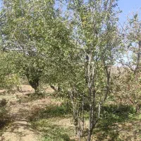 راهنماییم کنید