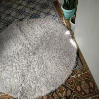 پادری