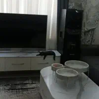 پرده حریر شاین با والان