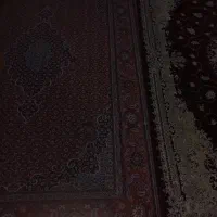 فرش ۶ متری|فرش|قم, شهر قائم|دیوار