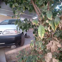 پراید وانت صفر