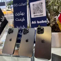 iphone 13 pro max|موبایل|قم, چهل درخت‎|دیوار