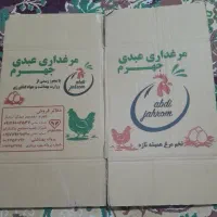 فروش کارتون