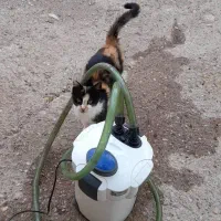 یک دستگاه فیلتر تصفیه و پمپ هوای آکواریم