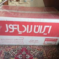 پکیج ایران رادیاتور eco24ff-pl