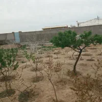 فروش املاک|فروش خانه و ویلا|شال, |دیوار