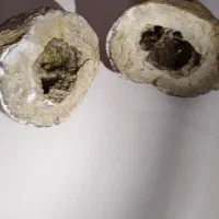 سنگ قیمتی