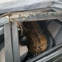 ماشین پژو405تصادفی|خودرو سواری و وانت|رشت, عینک|دیوار