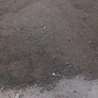کود گاوی مرغوب