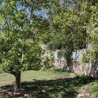 زمین در روستای امامه بالا|فروش زمین و ملک کلنگی|فشم, |دیوار