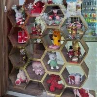 ویترین و قفسه کندو