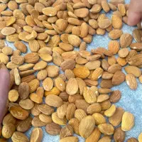 خرید انواع بادام نقدی|عمده‌فروشی|خانمیرزا, |دیوار