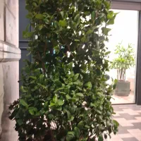 نگهبانی و تمیزکاری در خدمت شما هستیم