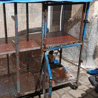 قفس سالم و تمیز .و دو طبقه  و چرخ دار