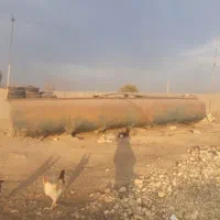 اجاره دامداری