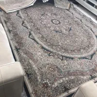 قرش|فرش|بندرعباس, |دیوار