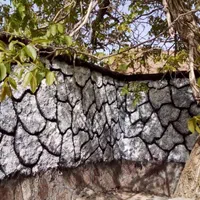 سیمانطرح دار، طرح سنگ،طرح چوب،تگری|خدمات پیشه و مهارت|قم, کلهری|دیوار