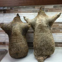 هیزه نو بزرگ ، جای روغن حیوانی