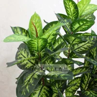 درختچه مصنوعی دیفن باخیا