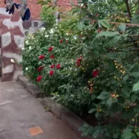 فروش باغ ویلایی|فروش خانه و ویلا|شبستر, |دیوار