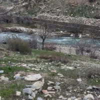 زمین553متر-بامجوز-ساخت-جاده-چالوس-ارنگه-لب-رودخانه