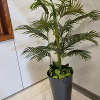 درختچه مصنوعی فینیکس