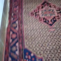 فرش6|فرش|جوانرود, |دیوار