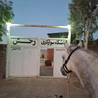 پانسیون و خدمات نگهداری اسب