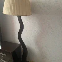 اباژور ایستاده