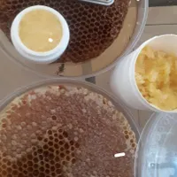 عطاری شیره میوه خرنوب اصل پلمپ معجون پک ناباروری|آرایشی، بهداشتی، درمانی|تهران, فرودگاه مهرآباد|دیوار