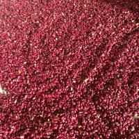 لوبیا قرمز بومی