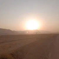 جو دو سر محلی