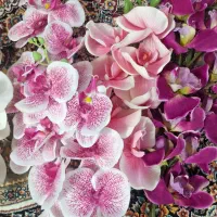 چند شاخه گل ارکیده