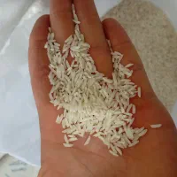 برنج هاشمی گیلان|خوردنی و آشامیدنی|صومعهسرا, |دیوار