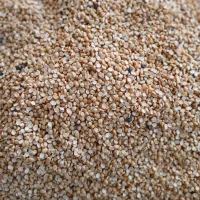 رب خانگی تازه آبغوره شیره. سیر ترشی  لپه نخود سیاه|خوردنی و آشامیدنی|قزوین, |دیوار