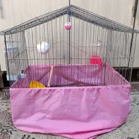 قفس پرنده