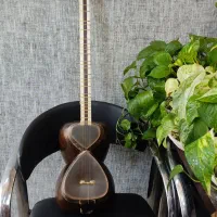 تار حرفه ای خوش صدا|سازهای سنتی|جهرم, |دیوار