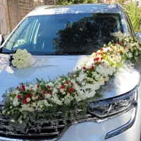 ماشین عروس|گل و گیاه طبیعی|شیراز, خلدبرین|دیوار