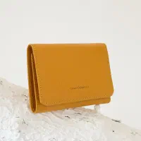 گمشده کیف پول