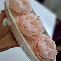 شمع دستساز نیک کندل|صنایع دستی و سایر لوازم تزئینی|مشهد, آزادشهر|دیوار