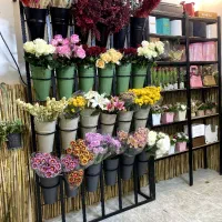 3 استند گل مناسب گلفروشی